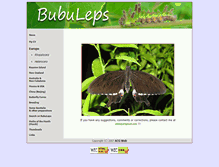 Tablet Screenshot of bubuleps.com